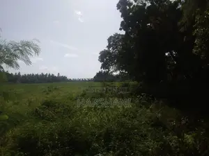 250P Commercial Land facing Paddy Field & Ridiyagama Main Rd