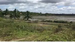 (AF159) 200P Beach Facing Land for Sale in Usangoda Nonagama