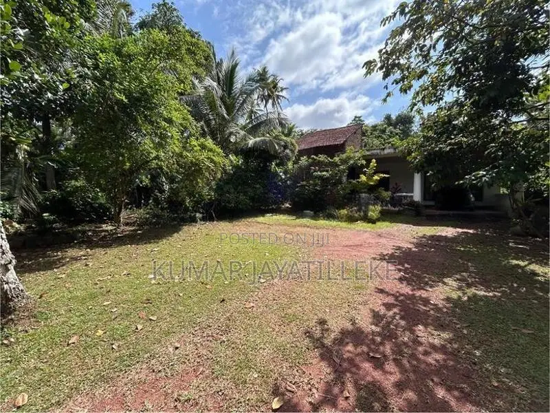 Prime Commercial Land for Sale – Gampaha-Minuwangoda Main Road