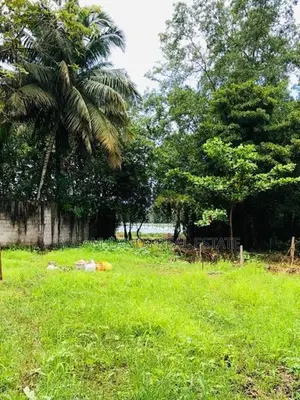 Suwarapola Bolgoda River Side 23 per Land For Sale in (sm3131)