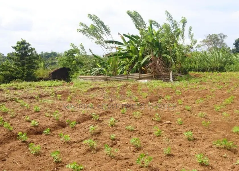 Land for Sale in Kumbuka