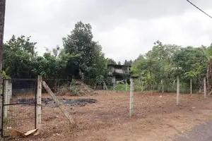 Land for Sale in Diyagama