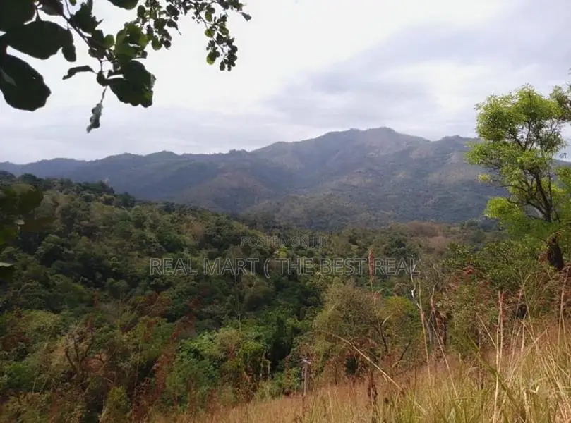 Ella : 20 Acres Land for Sale at Karadagolla