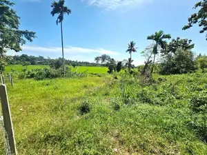 54P Paddy Field Facing Bare Land For Sale In Malabe