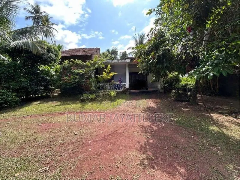 Prime Commercial Land for Sale – Gampaha-Minuwangoda Main Road