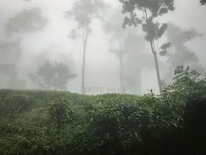 Land of Sale Nuwaraeliya