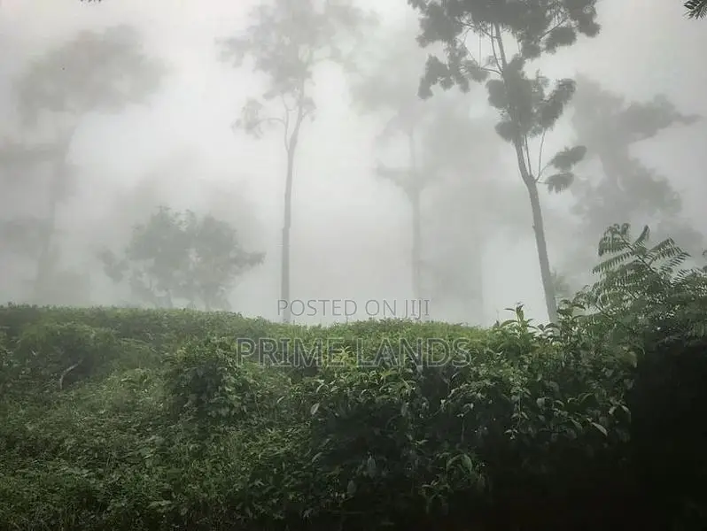 Land of Sale Nuwaraeliya
