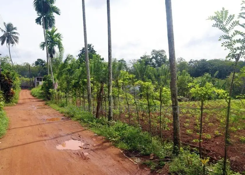 Land for Sale in Kumbuka
