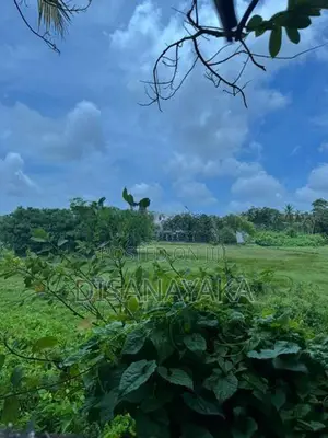 Super Land for Sale Thalahena Ds1025