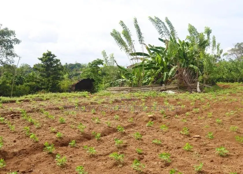 Land for Sale in Kumbuka