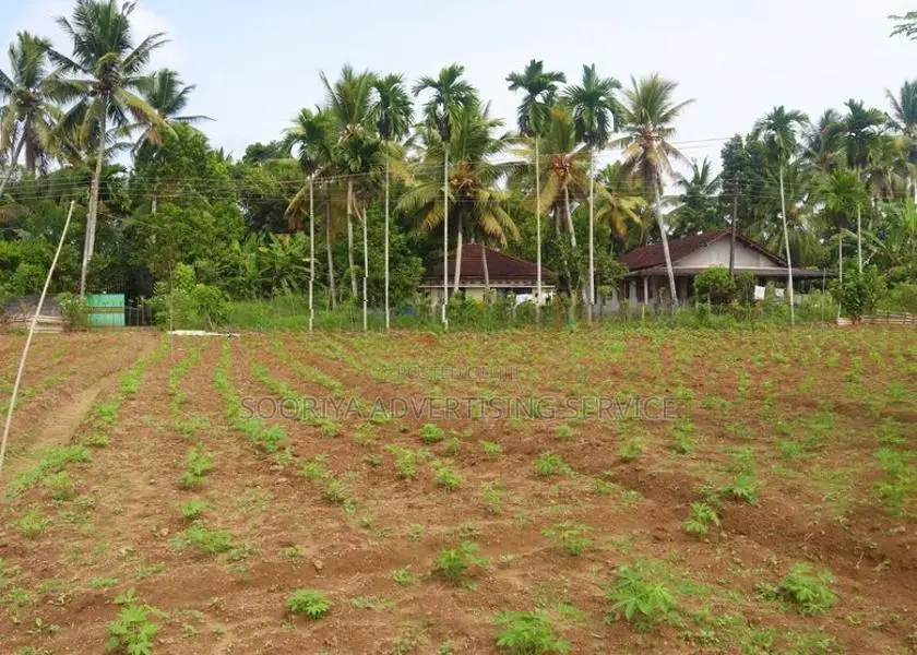 Land for Sale in Kumbuka