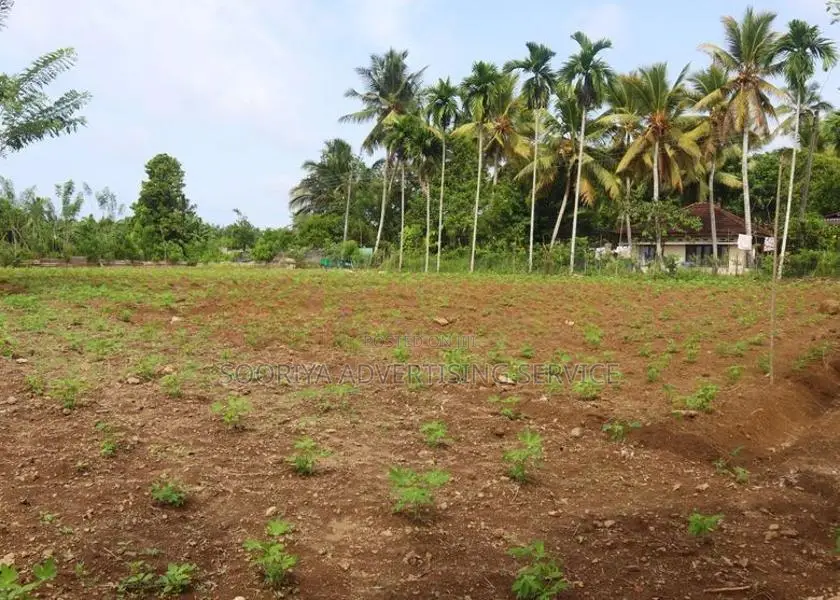 Land for Sale in Kumbuka