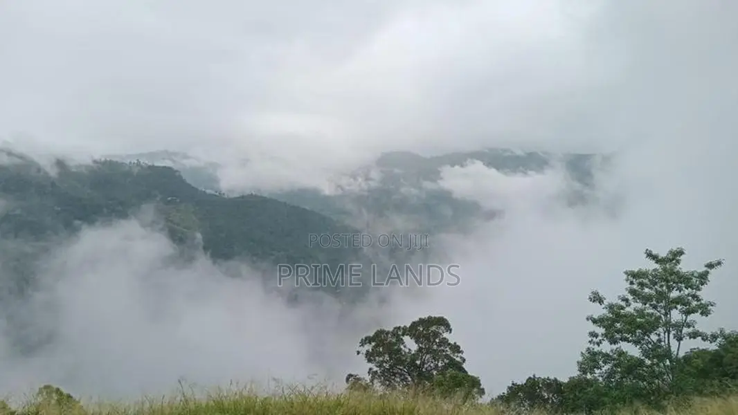 View Point Land for Sale Nuwara Eliya Road