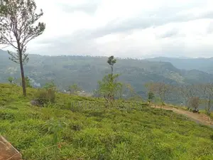 View point land for sale Nuwara Eliya Road