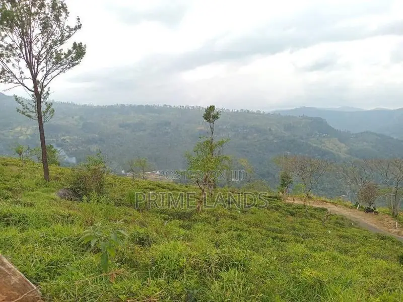 View point land for sale Nuwara Eliya Road