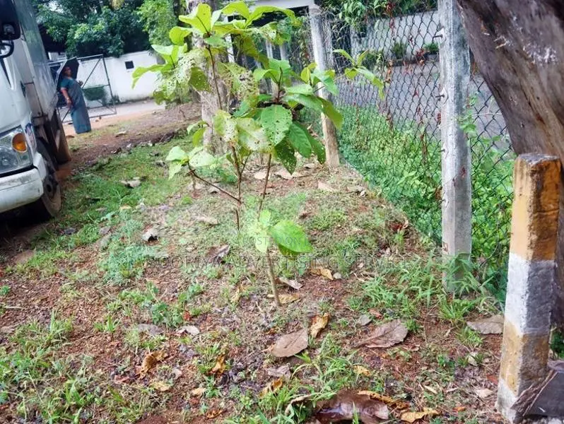 Prime Land for Sale in Gothatuwa