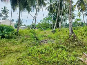 (AFA484) 277 P Beach Facing Land Sale At Rekewa Tangale