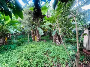 (AFA478) 55 Perch Land for Sale in Mount Lavinia