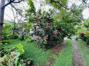 (AFA478) 55 Perch Land for Sale in Mount Lavinia