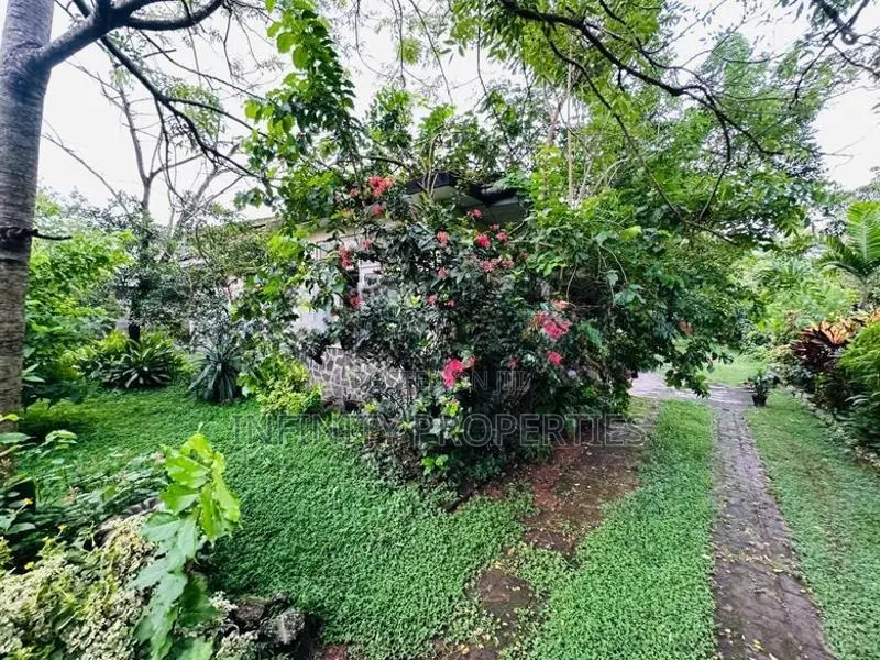 (AFA478) 55 Perch Land for Sale in Mount Lavinia