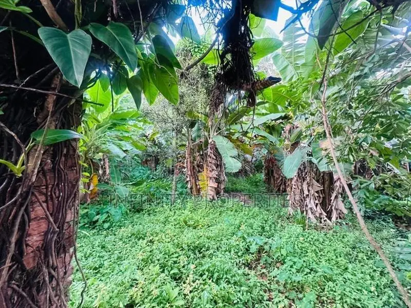 (AFA478) 55 Perch Land for Sale in Mount Lavinia