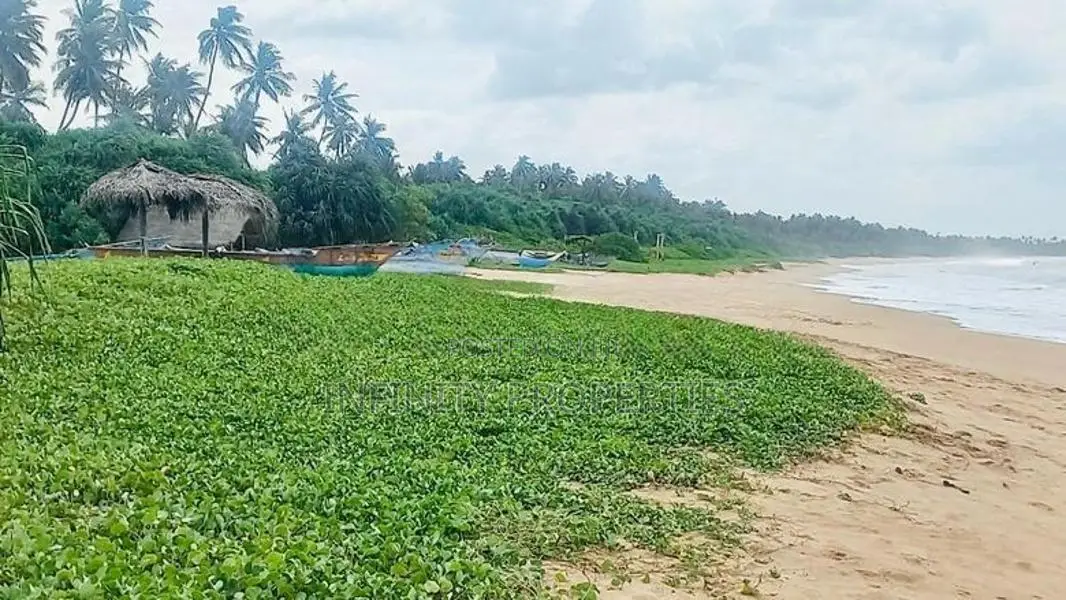 (AFA484) 277 P Beach Facing Land Sale At Rekewa Tangale