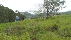 Valuable Land for Sale Peacock Estate Pussellawa