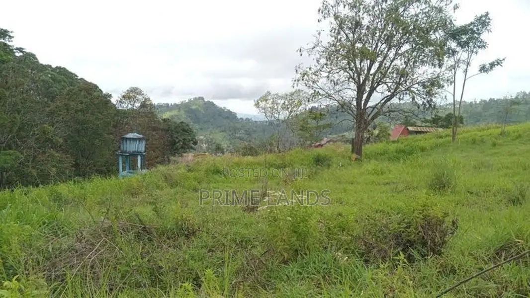 Mountain Range View Point Land for Sale Pussellawa