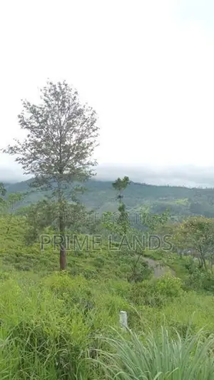 Mountain Range View Point Land for Sale Pussellawa