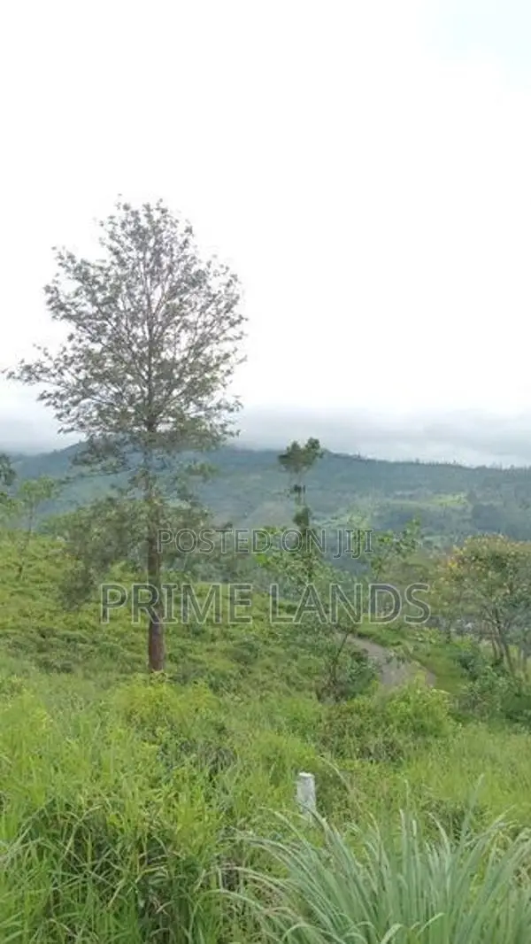 Mountain Range View Point Land for Sale Pussellawa