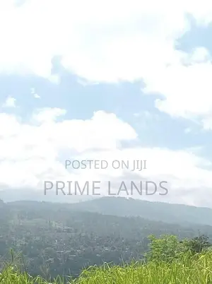 Valuable Land for Sale Peacock Estate Pussellawa