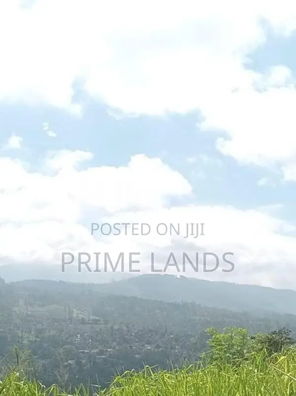 Valuable Land for Sale Peacock Estate Pussellawa