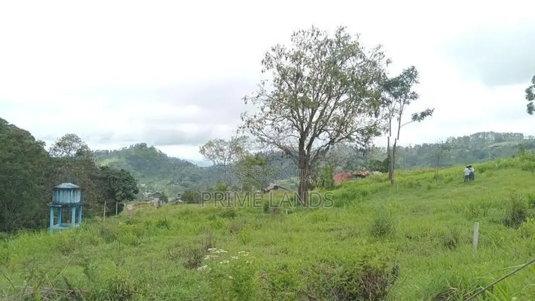 Mountain Range View Point Land for Sale Pussellawa