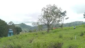 Mountain Range View Point Land for Sale Pussellawa