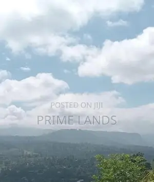 Valuable Land for Sale Peacock Estate Pussellawa