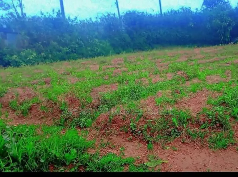 Nuwara Eliya Land for Sale ( RS - 434)