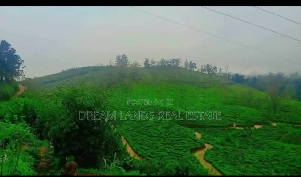 Nuwara Eliya Land for Sale ( RS - 434)