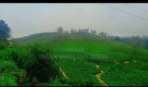 Nuwara Eliya Land for Sale ( RS - 434)