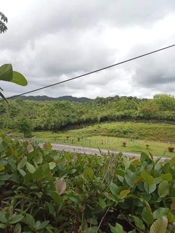 Aluthgama : 12.25 Acres Hotel Land for Sale facing Benthara River