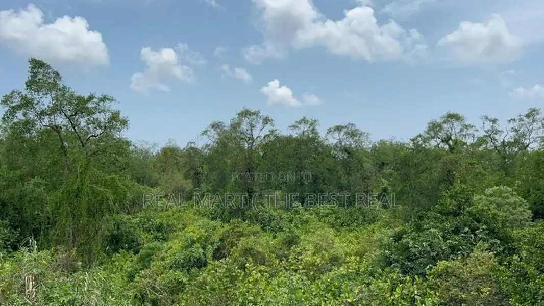Aluthgama : 12.25 Acres Hotel Land for Sale facing Benthara River