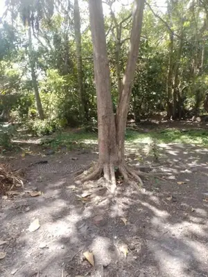 මීගමුව : පර්චස් 60 ක ඉඩම හෝ කොටස් වශයෙන් විකිණීමට ඇත.