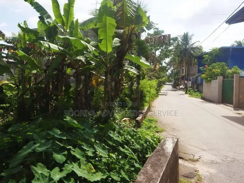Land for Sale in Kelaniya