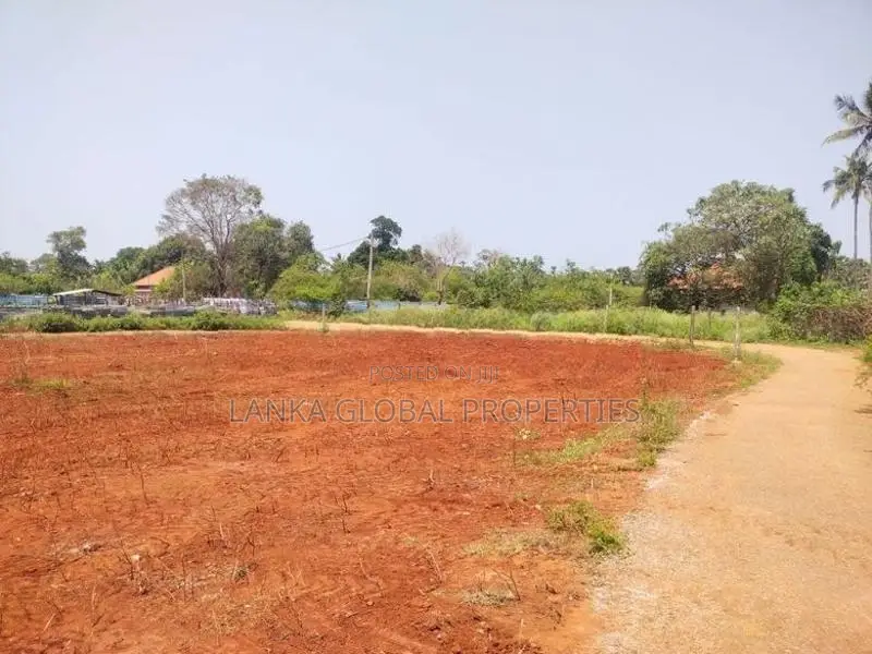 Land for Sale - Punnalaikadduvan
