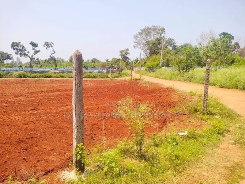 Land for Sale - Punnalaikadduvan