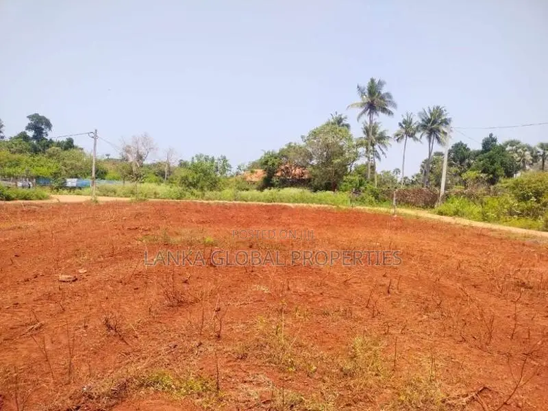 Land for Sale - Punnalaikadduvan