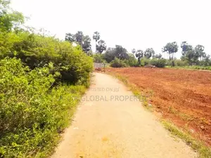 Land for Sale - Punnalaikadduvan