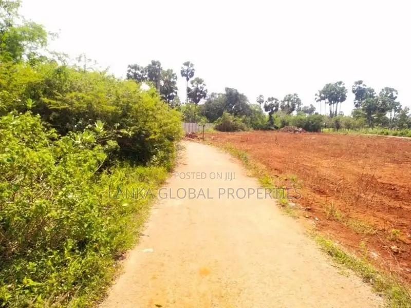 Land for Sale - Punnalaikadduvan