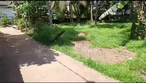 Commercial Land for Sale in Homagama (SP854)