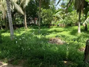 Commercial Land for Sale in Homagama (SP854)