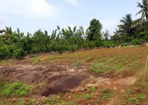 Land for Sale in Gonapola